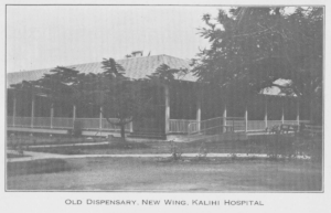 Kalihi Hospital dispensary in a 1933 Public Health Service report | Amazing Women In History Kalihi Hospital’s old dispensary and new wing have a long veranda shaded by trees.