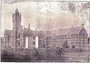 University of Otago in Picturesque Dunedin, 1890 | Amazing Women In History The University of Otago’s stone buildings and clock tower in an illustration published in 1890.