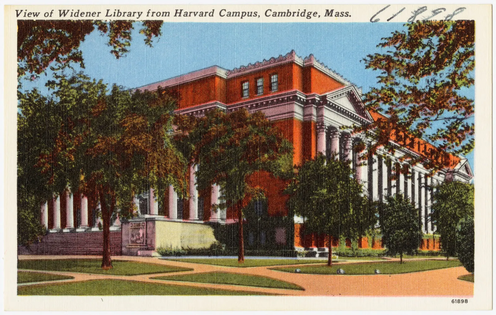 Widener Library postcard, circa 1930–1945 | Amazing Women In History Color postcard showing Widener Library’s columned entrance and long brick facade behind trees and lawn.